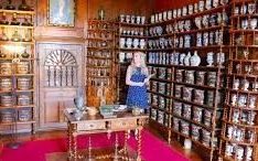 Burgundy Immersion French a la Carte Chateau Saint Amour