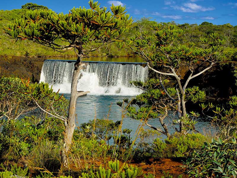 Excursion Grand Sud